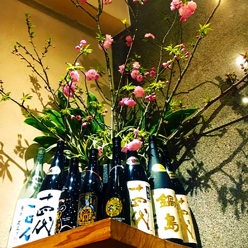 熊本 郷土料理 居酒屋 刺身 馬刺し 接待